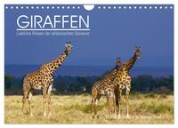 GIRAFFEN - Liebliche Riesen der afrikanischen Savanne (Wandkalender 2026 DIN A4 quer), CALVENDO Monatskalender