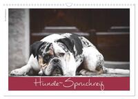 Hunde-Spruchreif (Wandkalender 2026 DIN A3 quer), CALVENDO Monatskalender