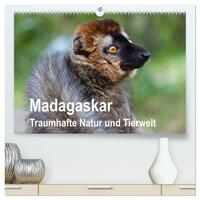 Madagaskar. Traumhafte Natur und Tierwelt (hochwertiger Premium Wandkalender 2026 DIN A2 quer), Kunstdruck in Hochglanz