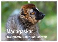 Madagaskar. Traumhafte Natur und Tierwelt (Wandkalender 2026 DIN A3 quer), CALVENDO Monatskalender