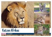 Katzen Afrikas (Wandkalender 2026 DIN A3 quer), CALVENDO Monatskalender