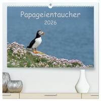 Papageientaucher 2026 (hochwertiger Premium Wandkalender 2026 DIN A2 quer), Kunstdruck in Hochglanz
