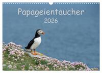 Papageientaucher 2026 (Wandkalender 2026 DIN A3 quer), CALVENDO Monatskalender