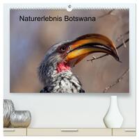 Naturerlebnis Botswana (hochwertiger Premium Wandkalender 2026 DIN A2 quer), Kunstdruck in Hochglanz