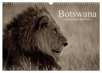 Botswana – Impressionen aus Afrika (Wandkalender 2026 DIN A3 quer), CALVENDO Monatskalender