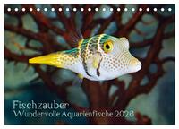 Fischzauber - Wundervolle Aquarienfische (Tischkalender 2026 DIN A5 quer), CALVENDO Monatskalender