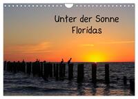 Unter der Sonne Floridas (Wandkalender 2026 DIN A4 quer), CALVENDO Monatskalender