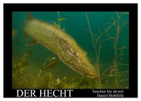 Der Hecht - Tauchen Sie ab mit Daniel Hohlfeld (Wandkalender 2026 DIN A4 quer), CALVENDO Monatskalender