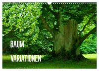 Baum-Variationen (Wandkalender 2026 DIN A3 quer), CALVENDO Monatskalender