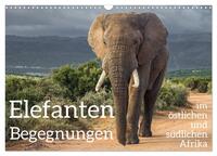 Elefanten Begegnungen im östlichen und südlichen Afrika (Wandkalender 2026 DIN A3 quer), CALVENDO Monatskalender