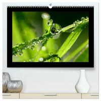 Meine kleine grüne Wassertropfen Welt (hochwertiger Premium Wandkalender 2026 DIN A2 quer), Kunstdruck in Hochglanz