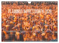 Flamingo Impressionen 2026 (Wandkalender 2026 DIN A4 quer), CALVENDO Monatskalender