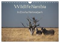 Wildlife Namibia (Wandkalender 2026 DIN A4 quer), CALVENDO Monatskalender