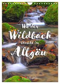 Wo der Wildbach rauscht im Allgäu (Wandkalender 2026 DIN A4 hoch), CALVENDO Monatskalender