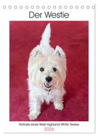 Der Westie - Portrait eines West Highland White Terriers (Tischkalender 2026 DIN A5 hoch), CALVENDO Monatskalender