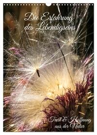 Die Erfahrung des Lebendigseins (Wandkalender 2026 DIN A3 hoch), CALVENDO Monatskalender