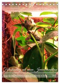 Fotoshooting mit einem Jemenchamäleon (Tischkalender 2026 DIN A5 hoch), CALVENDO Monatskalender