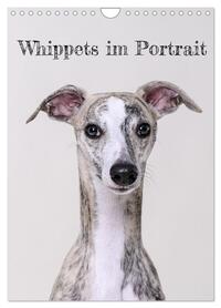 Whippets im Portrait (Wandkalender 2026 DIN A4 hoch), CALVENDO Monatskalender