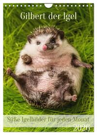 Gilbert der Igel (Wandkalender 2026 DIN A4 hoch), CALVENDO Monatskalender