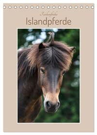 Farbenfrohe Islandpferde (Tischkalender 2026 DIN A5 hoch), CALVENDO Monatskalender
