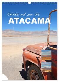 Erlebe mit mir die Atacama (Wandkalender 2026 DIN A3 hoch), CALVENDO Monatskalender