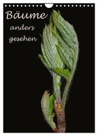 Bäume anders gesehen (Wandkalender 2026 DIN A4 hoch), CALVENDO Monatskalender