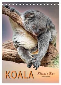 Koala, kleiner Bär (Tischkalender 2026 DIN A5 hoch), CALVENDO Monatskalender