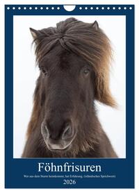 Föhnfrisuren (Wandkalender 2026 DIN A4 hoch), CALVENDO Monatskalender