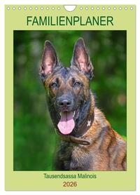 Familienplaner Tausendsassa Malinois (Wandkalender 2026 DIN A4 hoch), CALVENDO Monatskalender