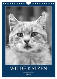Wilde Katzen - Korsikas Samtpfoten (Wandkalender 2026 DIN A4 hoch), CALVENDO Monatskalender