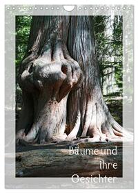 Bäume und ihre Gesichter (Wandkalender 2026 DIN A4 hoch), CALVENDO Monatskalender