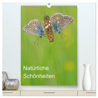 Insekten,Schönheiten der Natur (hochwertiger Premium Wandkalender 2026 DIN A2 hoch), Kunstdruck in Hochglanz