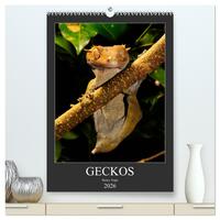 GECKOS (hochwertiger Premium Wandkalender 2026 DIN A2 hoch), Kunstdruck in Hochglanz