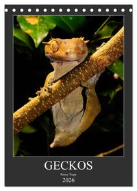 GECKOS (Tischkalender 2026 DIN A5 hoch), CALVENDO Monatskalender