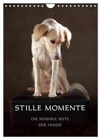 Stille Momente - Die sensible Seite der Hunde (Wandkalender 2026 DIN A4 hoch), CALVENDO Monatskalender