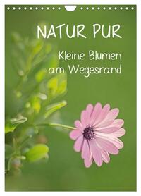 NATUR PUR Kleine Blumen am Wegesrand (Wandkalender 2026 DIN A4 hoch), CALVENDO Monatskalender