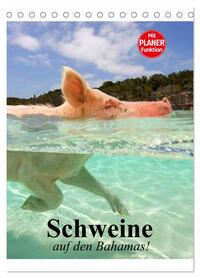 Schweine auf den Bahamas! (Tischkalender 2026 DIN A5 hoch), CALVENDO Monatskalender