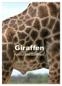 Giraffen - Anmut und Sanftheit (Wandkalender 2026 DIN A2 hoch), CALVENDO Monatskalender