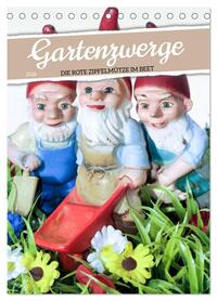 Gartenzwerge: Die rote Zipfelmütze im Beet (Tischkalender 2026 DIN A5 hoch), CALVENDO Monatskalender
