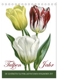 Tulpen - Jahr (Tischkalender 2026 DIN A5 hoch), CALVENDO Monatskalender