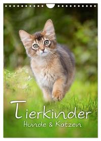 Tierkinder Hunde und Katzen (Wandkalender 2026 DIN A4 hoch), CALVENDO Monatskalender
