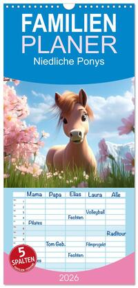 Familienplaner 2026 - Niedliche Ponys mit 5 Spalten (Wandkalender, 21 x 45 cm) CALVENDO