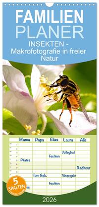 Familienplaner 2026 - INSEKTEN - Makrofotografie in freier Natur mit 5 Spalten (Wandkalender, 21 x 45 cm) CALVENDO