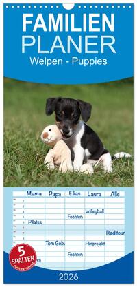 Familienplaner 2026 - Welpen - Puppies mit 5 Spalten (Wandkalender, 21 x 45 cm) CALVENDO