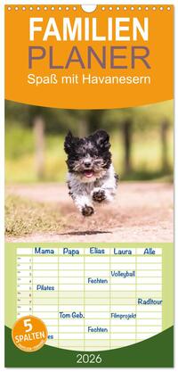 Familienplaner 2026 - Spaß mit Havanesern mit 5 Spalten (Wandkalender, 21 x 45 cm) CALVENDO