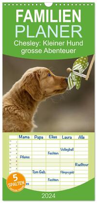 Familienplaner 2026 - Chesley Kleiner Hund grosse Abenteuer mit 5 Spalten (Wandkalender, 21 x 45 cm) CALVENDO
