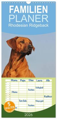 Familienplaner 2026 - Rhodesian Ridgeback 2026 mit 5 Spalten (Wandkalender, 21 x 45 cm) CALVENDO