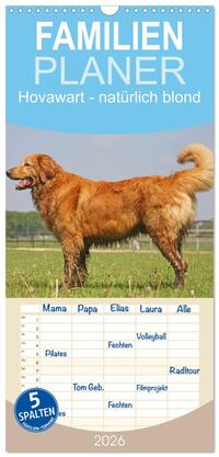Familienplaner 2026 - Hovawart - natürlich blond mit 5 Spalten (Wandkalender, 21 x 45 cm) CALVENDO