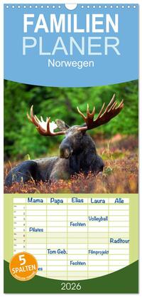 Familienplaner 2026 - Norwegen mit 5 Spalten (Wandkalender, 21 x 45 cm) CALVENDO
