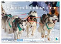 Schlittenhunderennen: Rasantes Schneetreiben (Wandkalender 2026 DIN A2 quer), CALVENDO Monatskalender